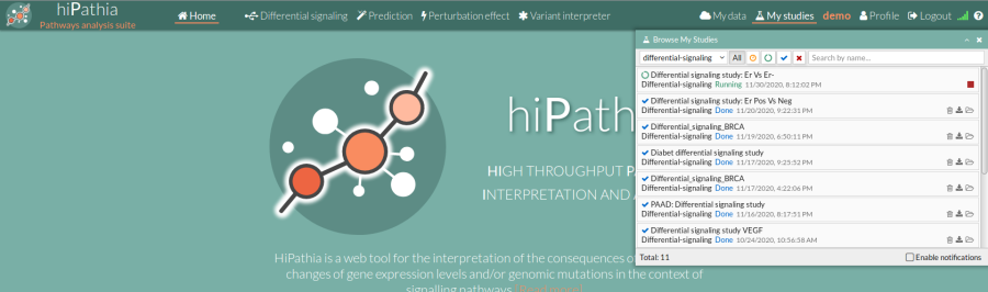 hipathia_work1_study-browser.png hipathia_work1_study-browser.png