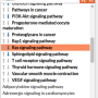 results_pathway.png