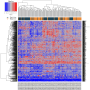 paths_heatmap.png