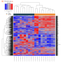 heatmap.png